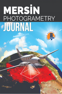 geomagnetic journal